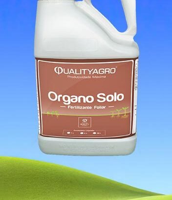 Organo Solo