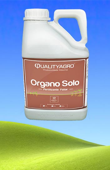 Organo Solo